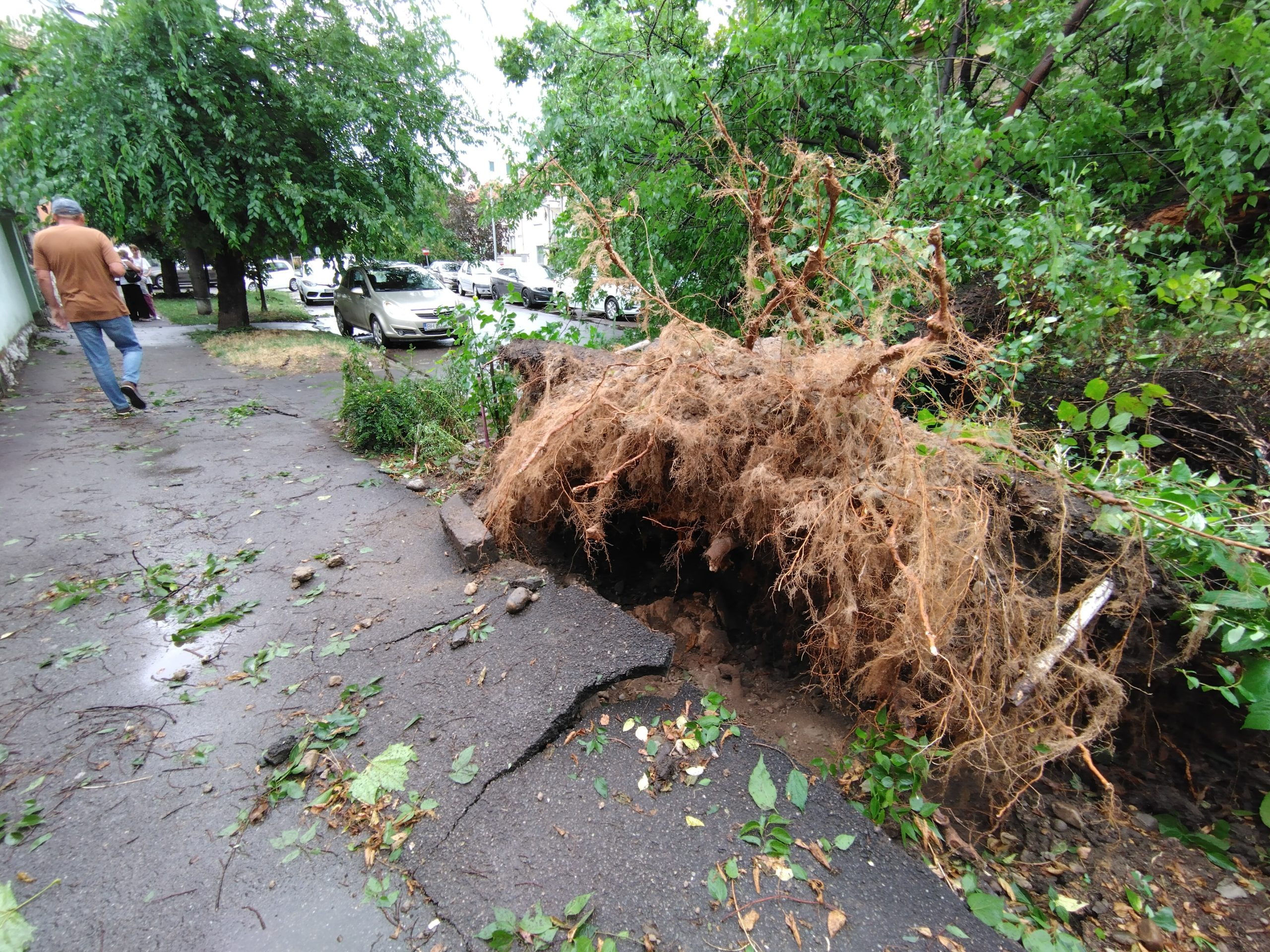 FOTO: Vijelie în Oradea 25.07.2023