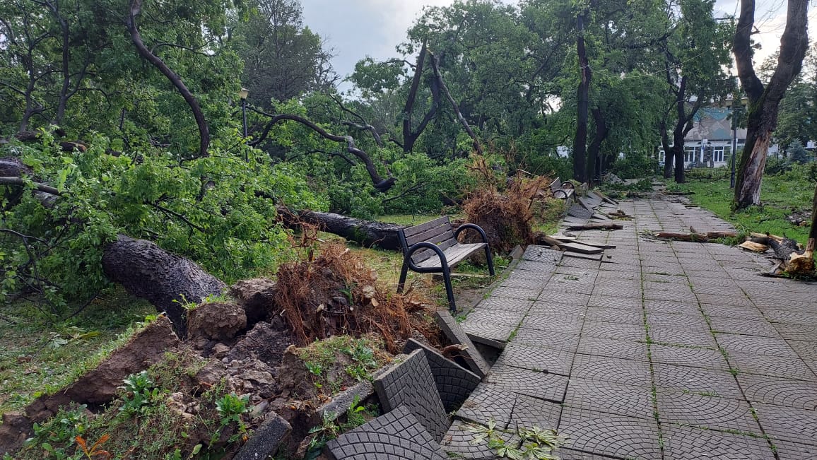 FOTO: Pagube în Parcul 1 Decembrie în urma furtunii, 26.07.2023