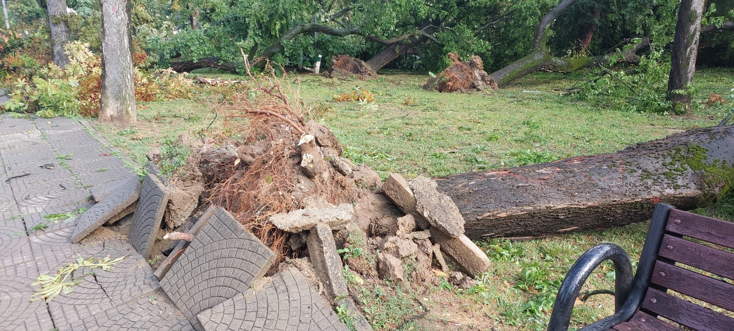 FOTO: Pagube în Parcul 1 Decembrie, 26.07.2023