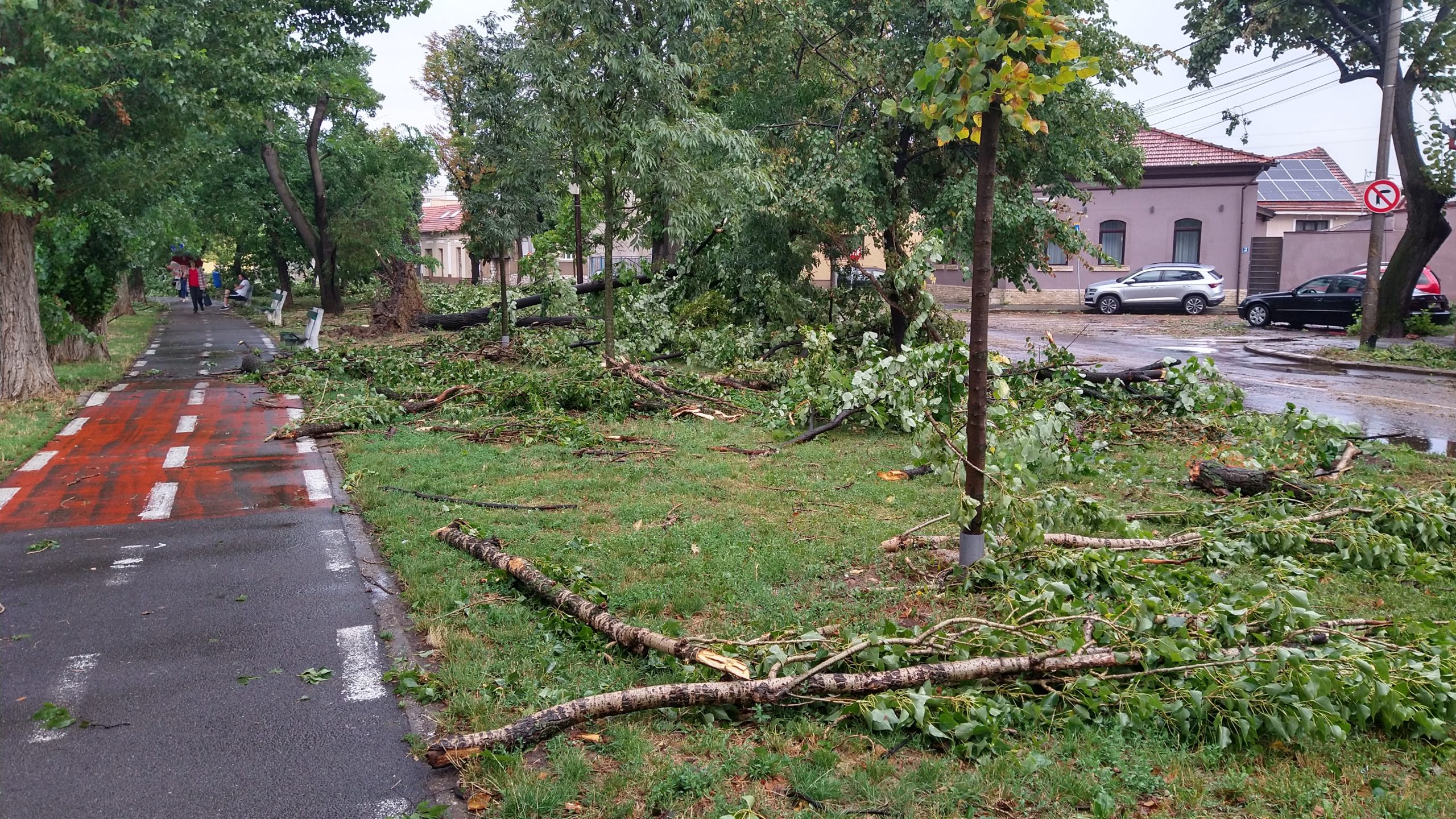 FOTO: Echipaje ale RER Vest intervin și acum pentru curățarea orașului, 26.07.2023