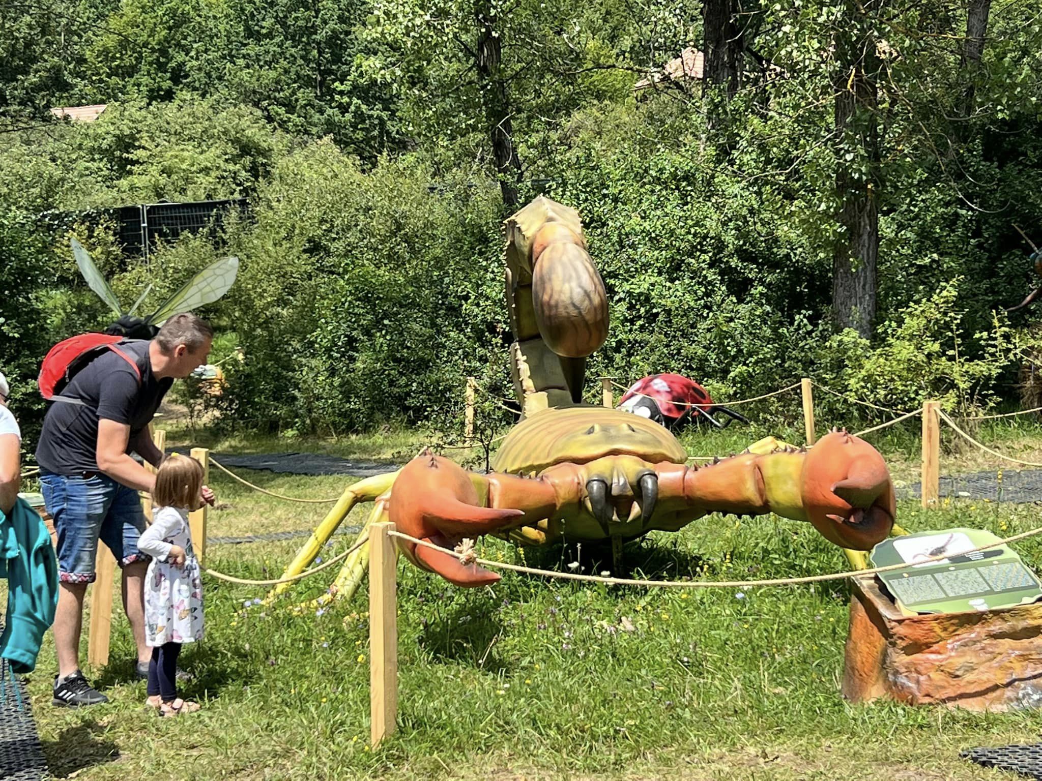 FOTO: Insect Park, premieră în România 28.07.2023