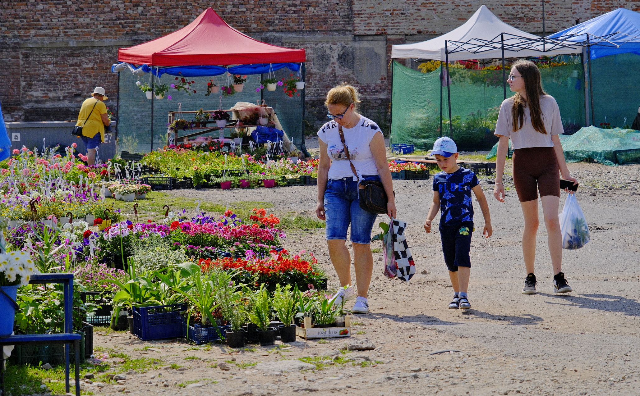 piata cetate oradea (16)