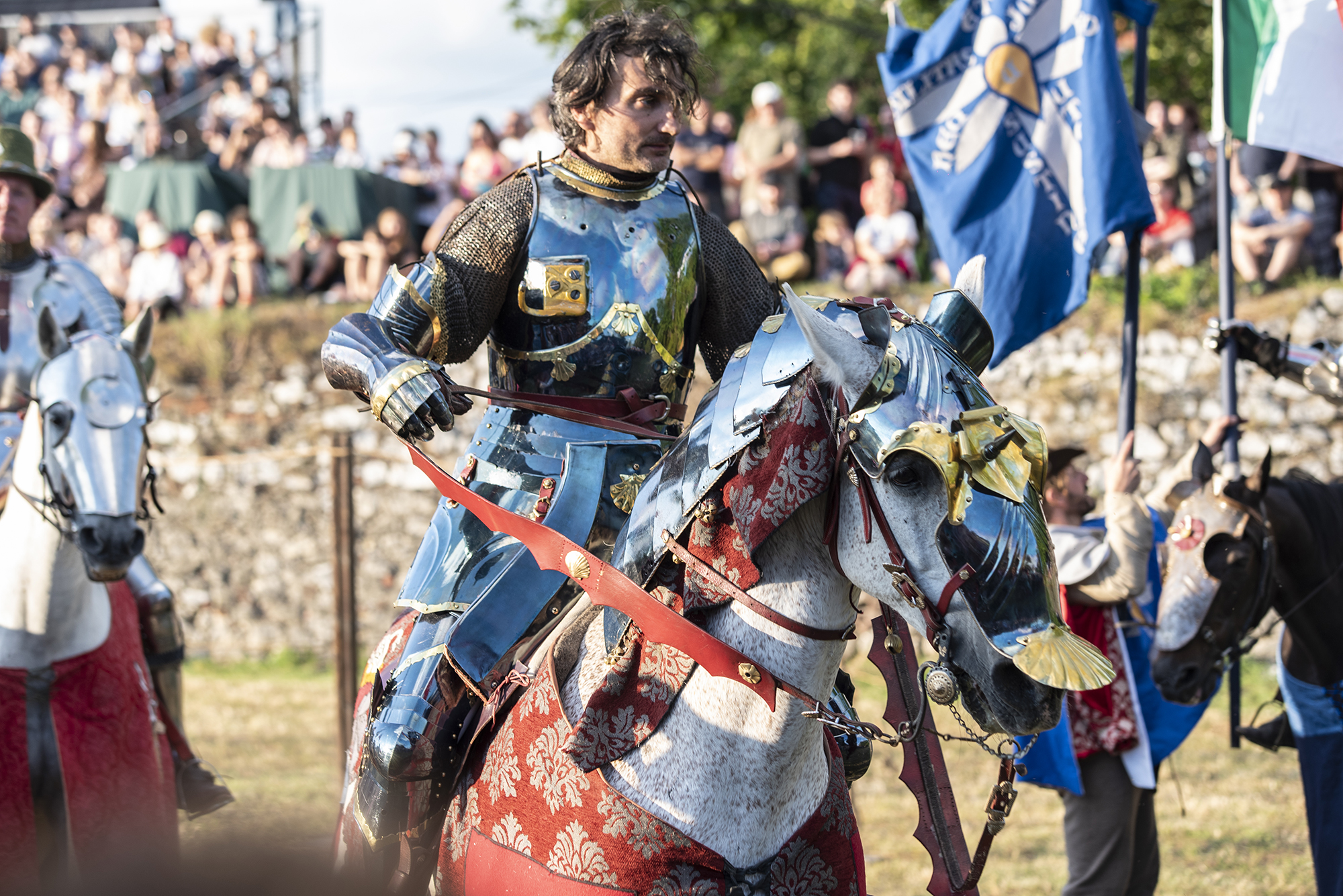 cavaleri oradea festival turnir (63)