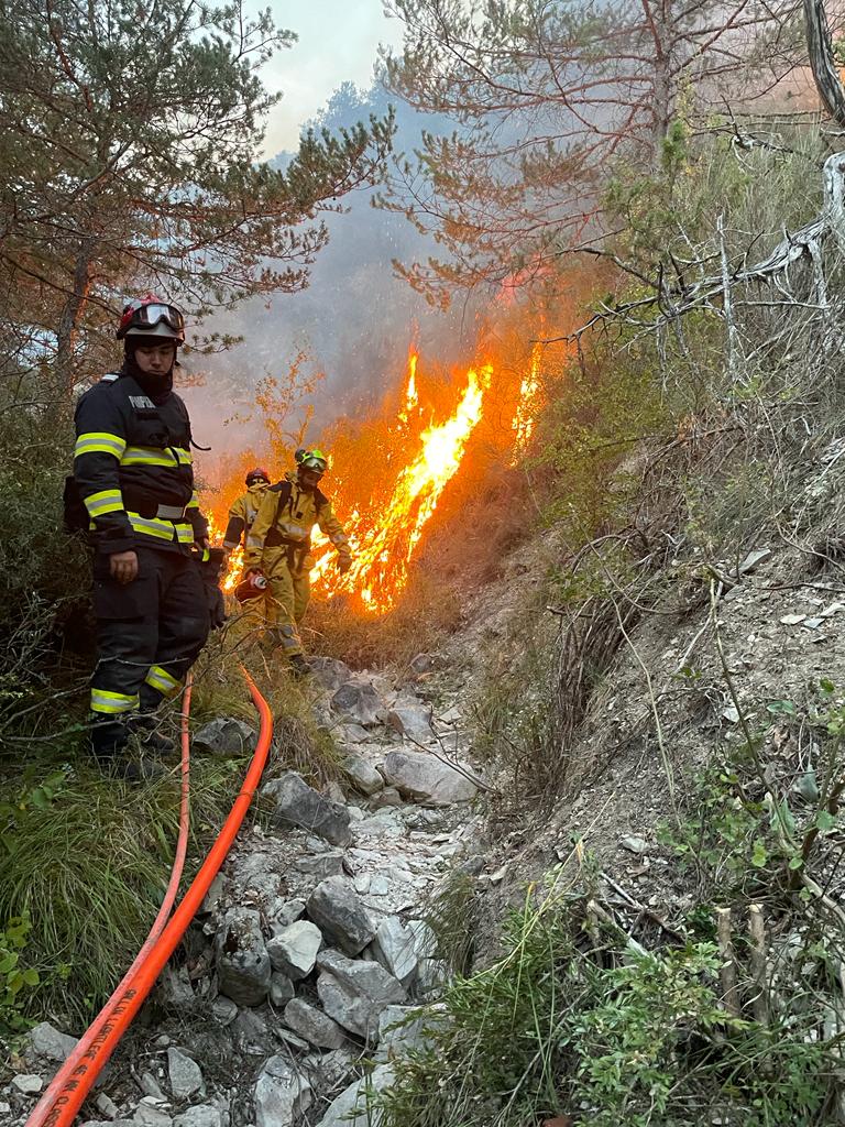 FOTO: Intervenția pompierilor bihoreni în Franța 24.08.2023