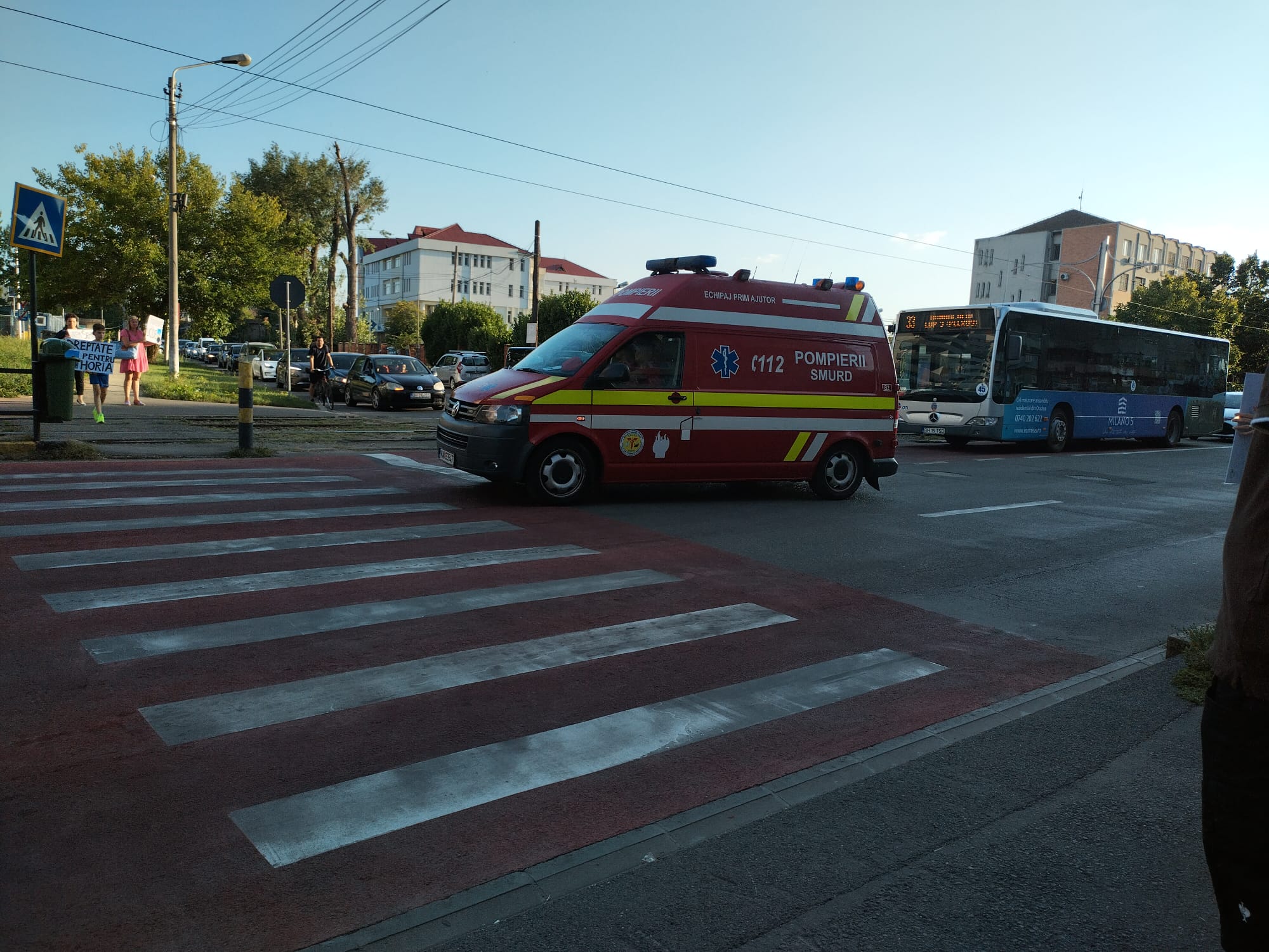 protest calea aradului (29)