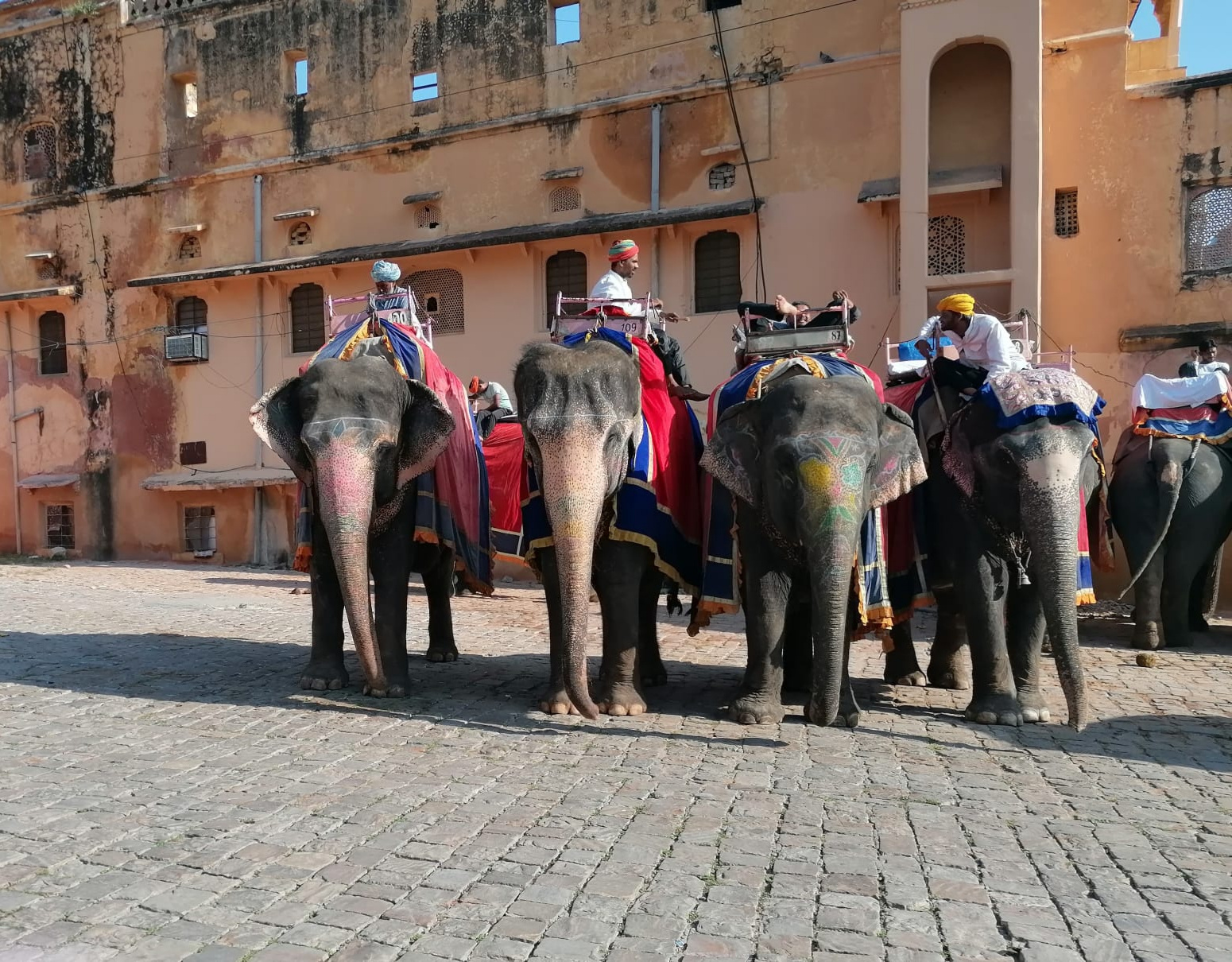 FOTO: Orădeni în India. Descoperind yoga, din Bangalore până în Rishikesh, 28.09.2023