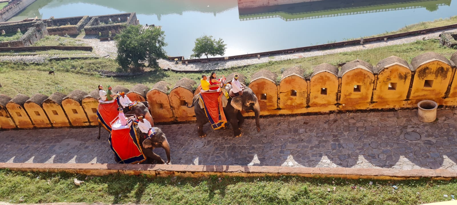 elefanti urcand drumul in Amber Fort, Jaipur