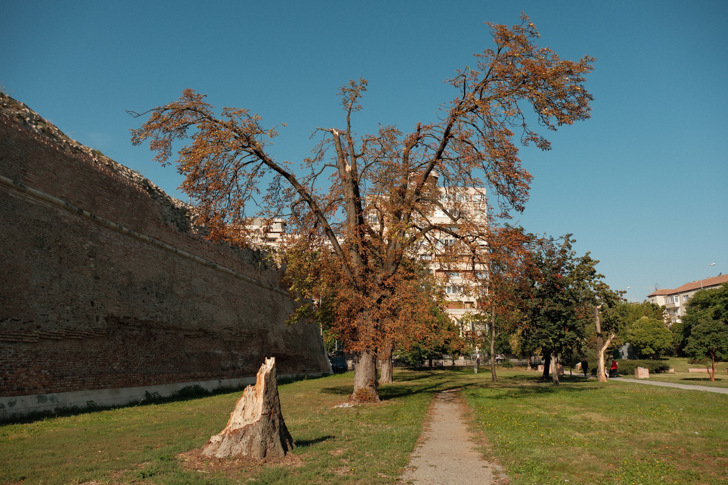 FOTO: Parcul din Șanțul Cetății Foto: Alexandru Nițescu