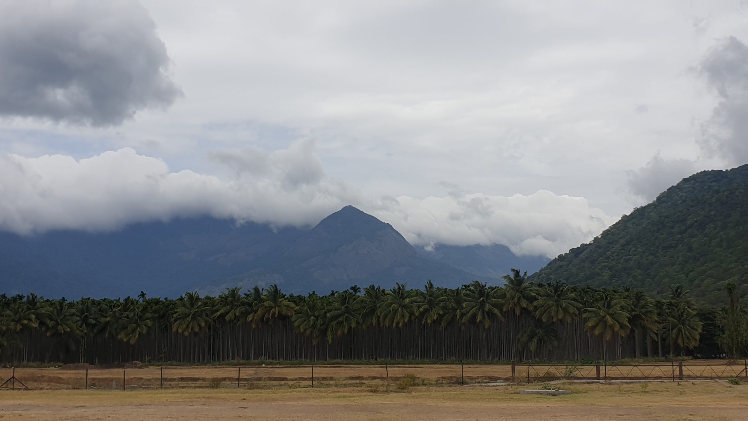 muntele Veliangiri, locul de ilumimare al lui Sadhguru.1