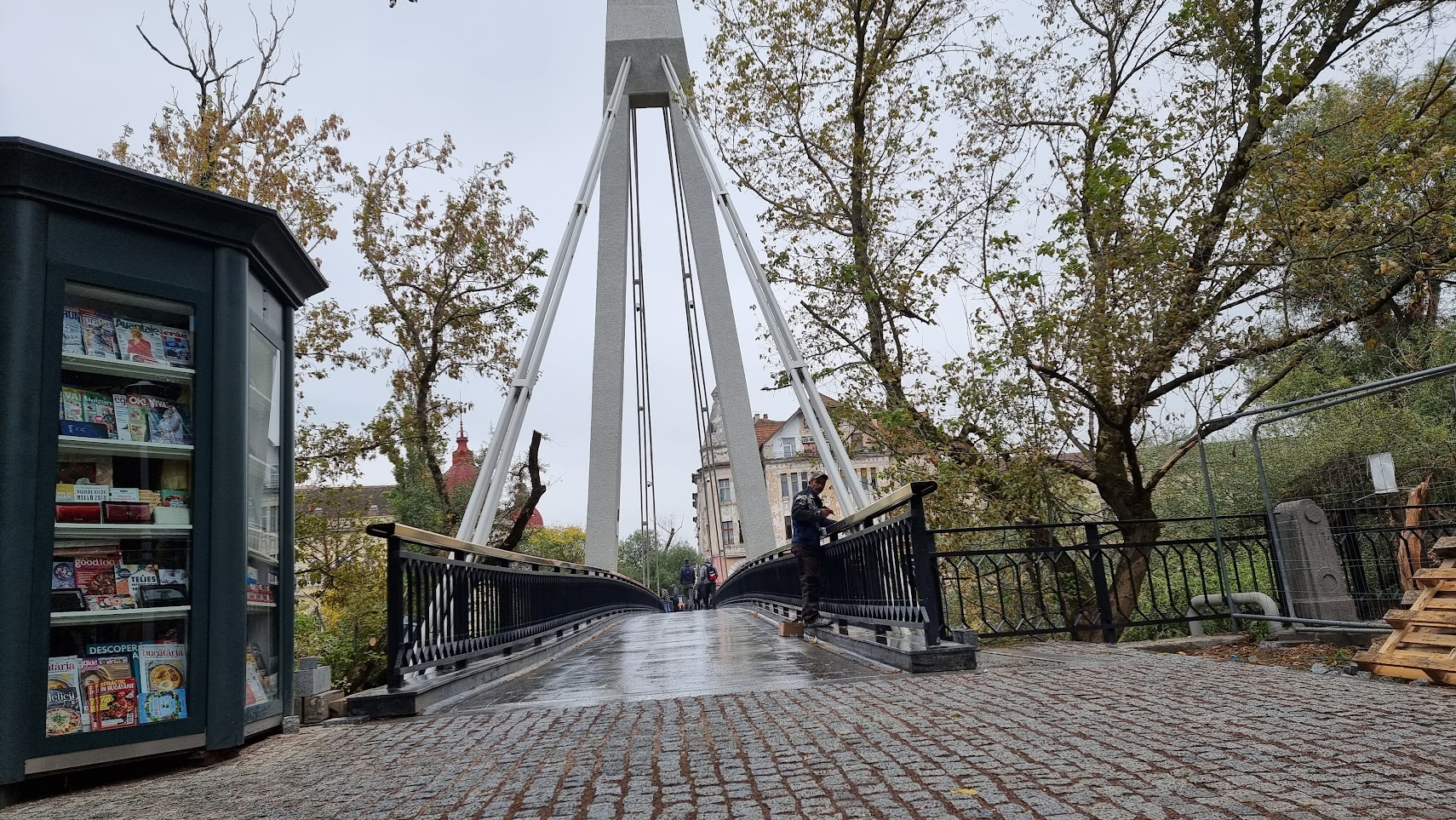 FOTO: Podul Intelectualilor din Oradea 19.10.2023