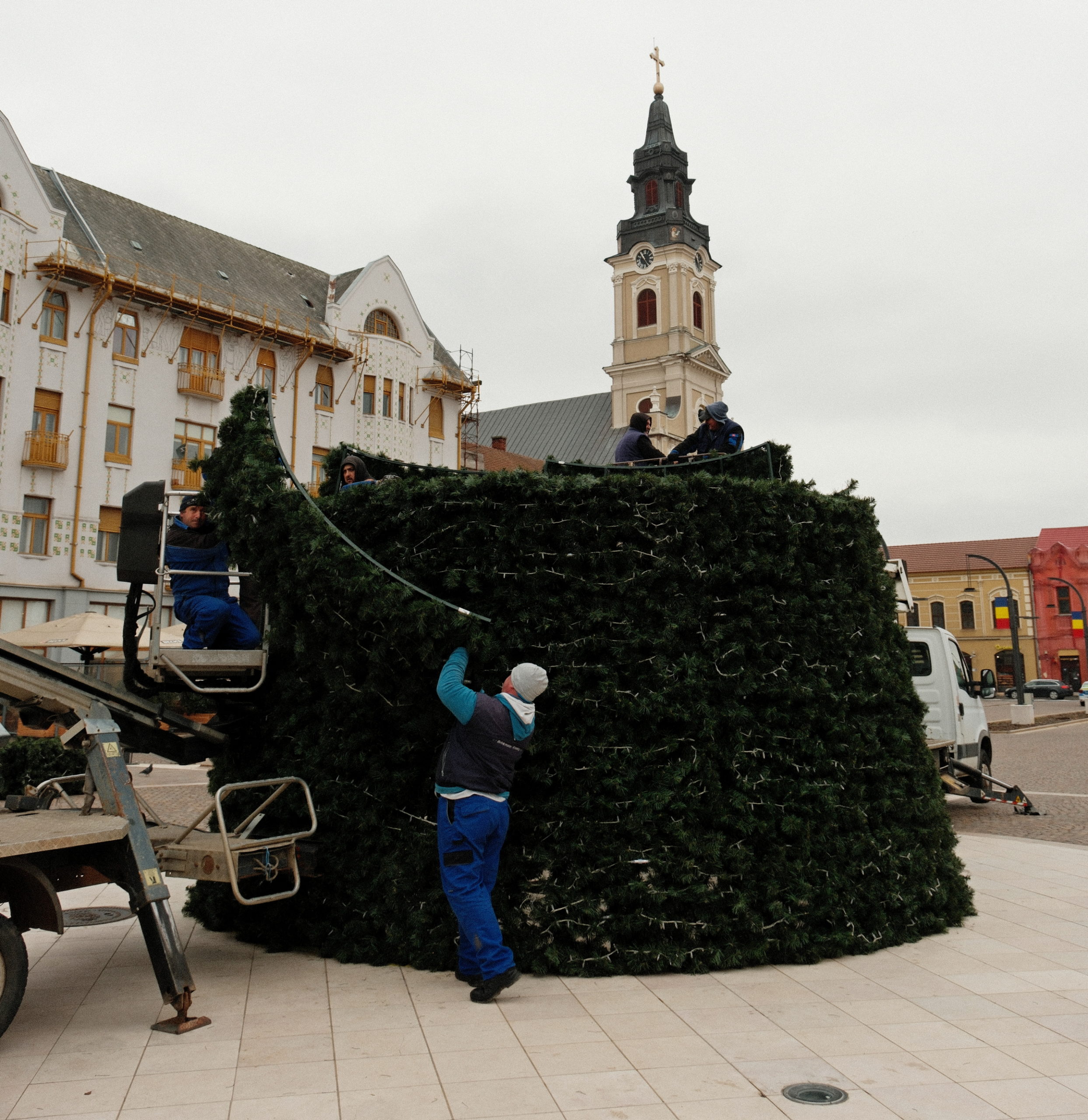 FOTO: Montarea bradului de Crăciun 20.11.2023 Alexandru Nițescu