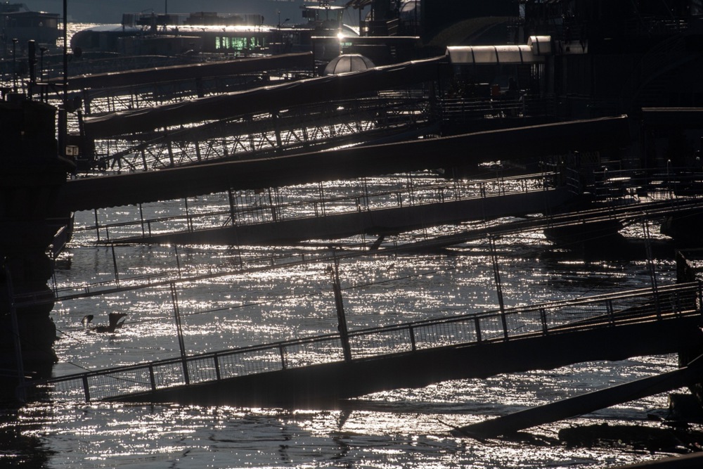 The river Danube floods parts of Budapest following the recent rains and snow