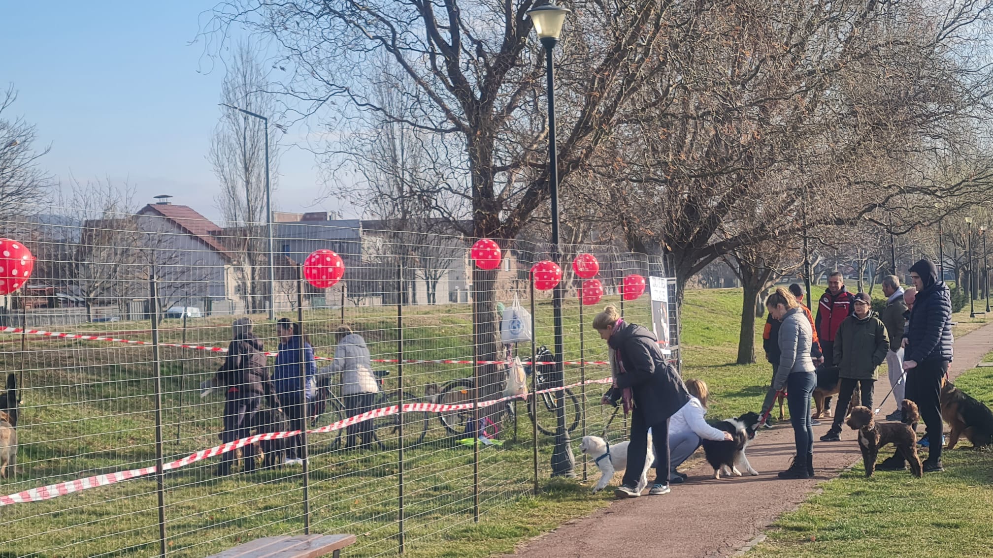 FOTO: Țarc nou dedicat dresajului canin în Parcul Salca 18.02.2024