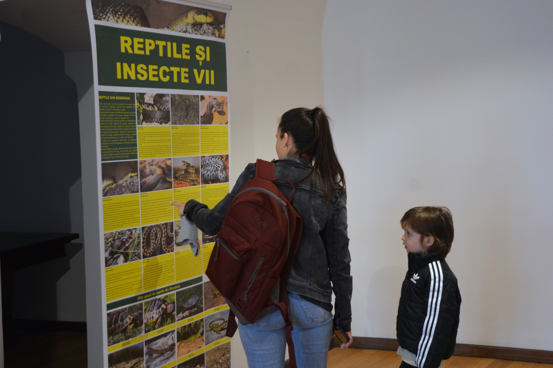 Expoziţie reptile si arahnide tropicale vii (59)