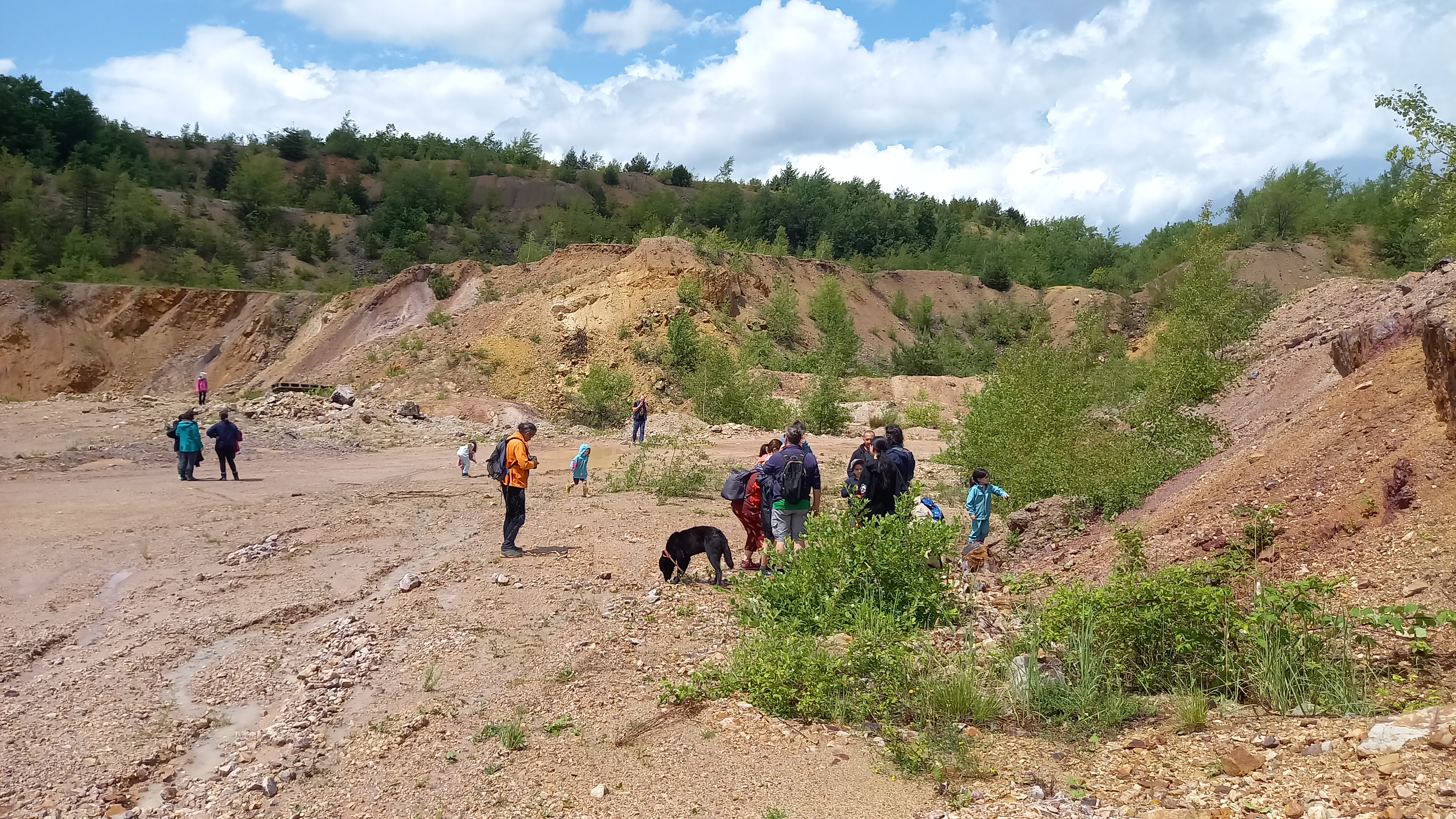 vânatoare de minerale si roci la Roşia (14)