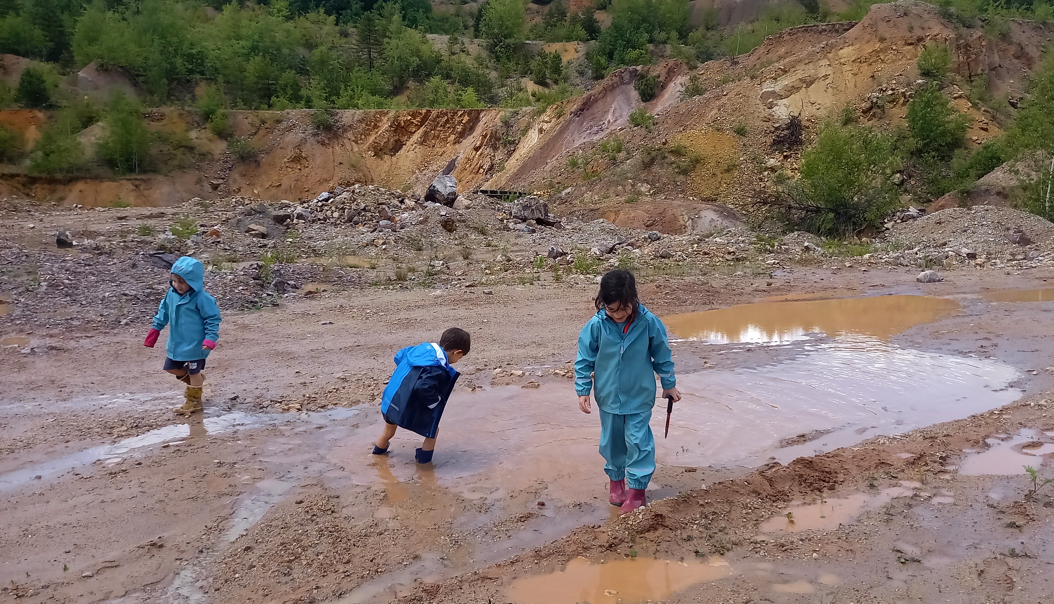 vânatoare de minerale si roci la Roşia (18)