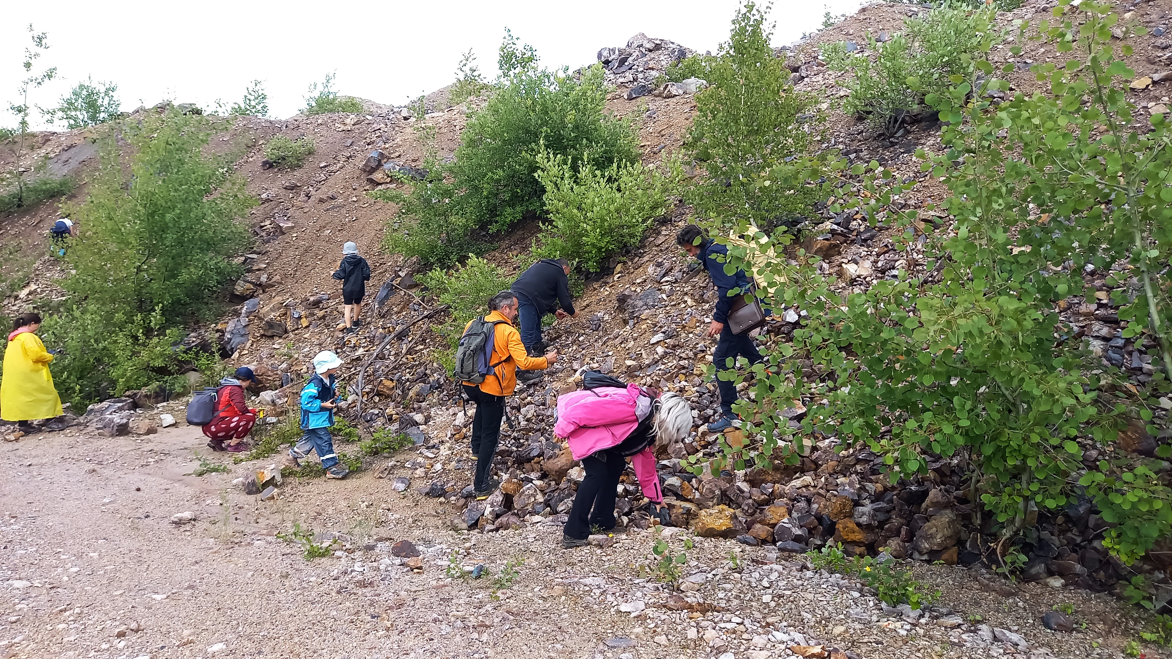 vânatoare de minerale si roci la Roşia (23)