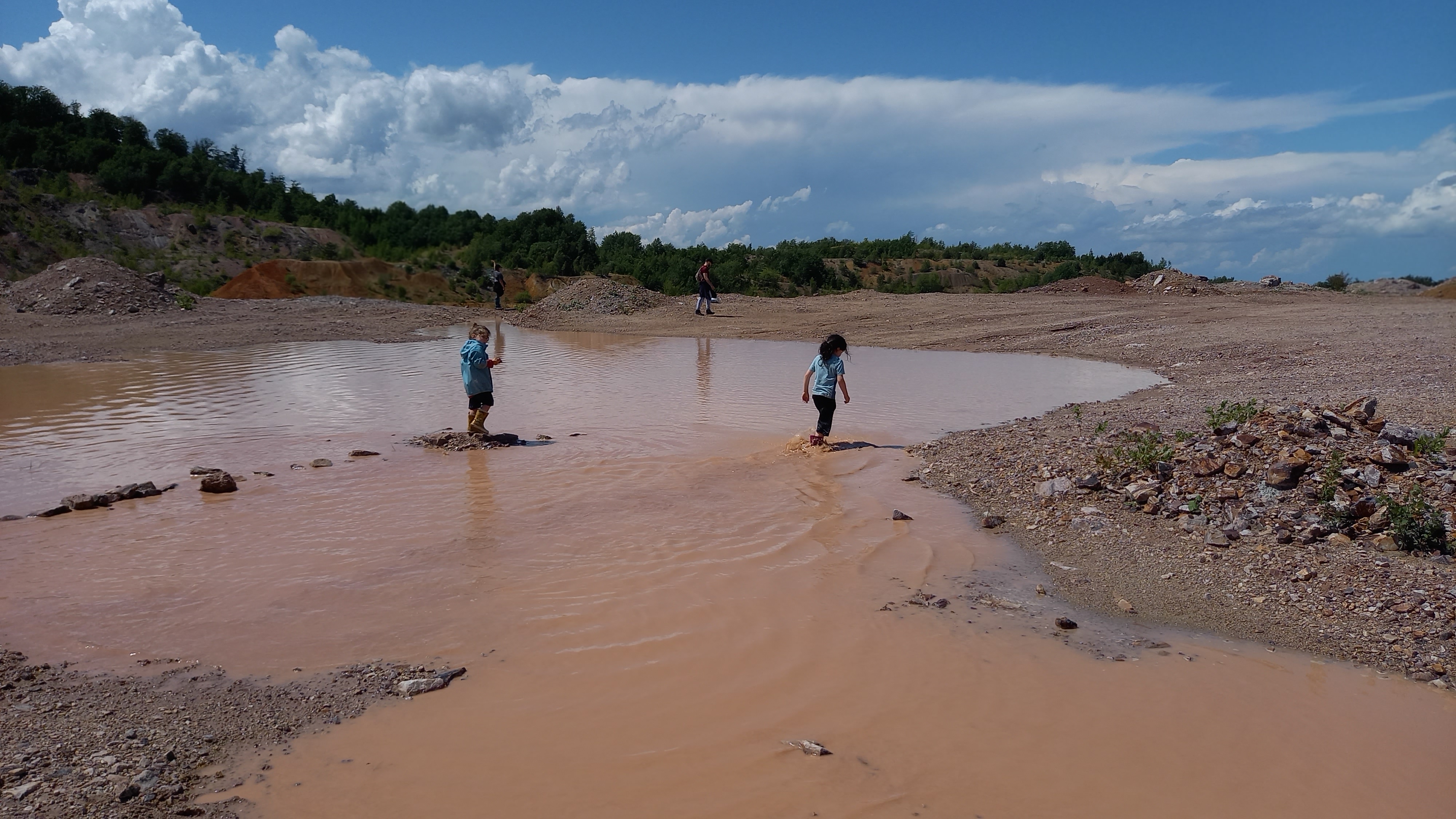 vânatoare de minerale si roci la Roşia (34)