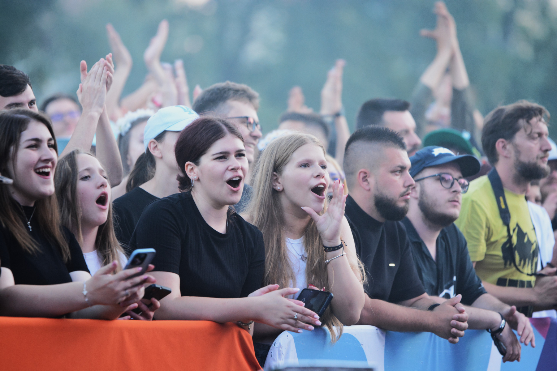 Subcarpaţi la Festivalul Medieval Oradea (21)