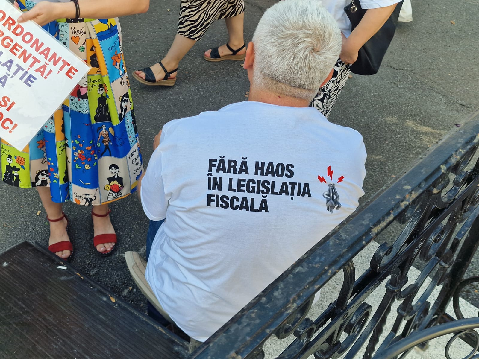 Protest în Parcul Traian 08.07.2024; Foto: Ramona Pașcu