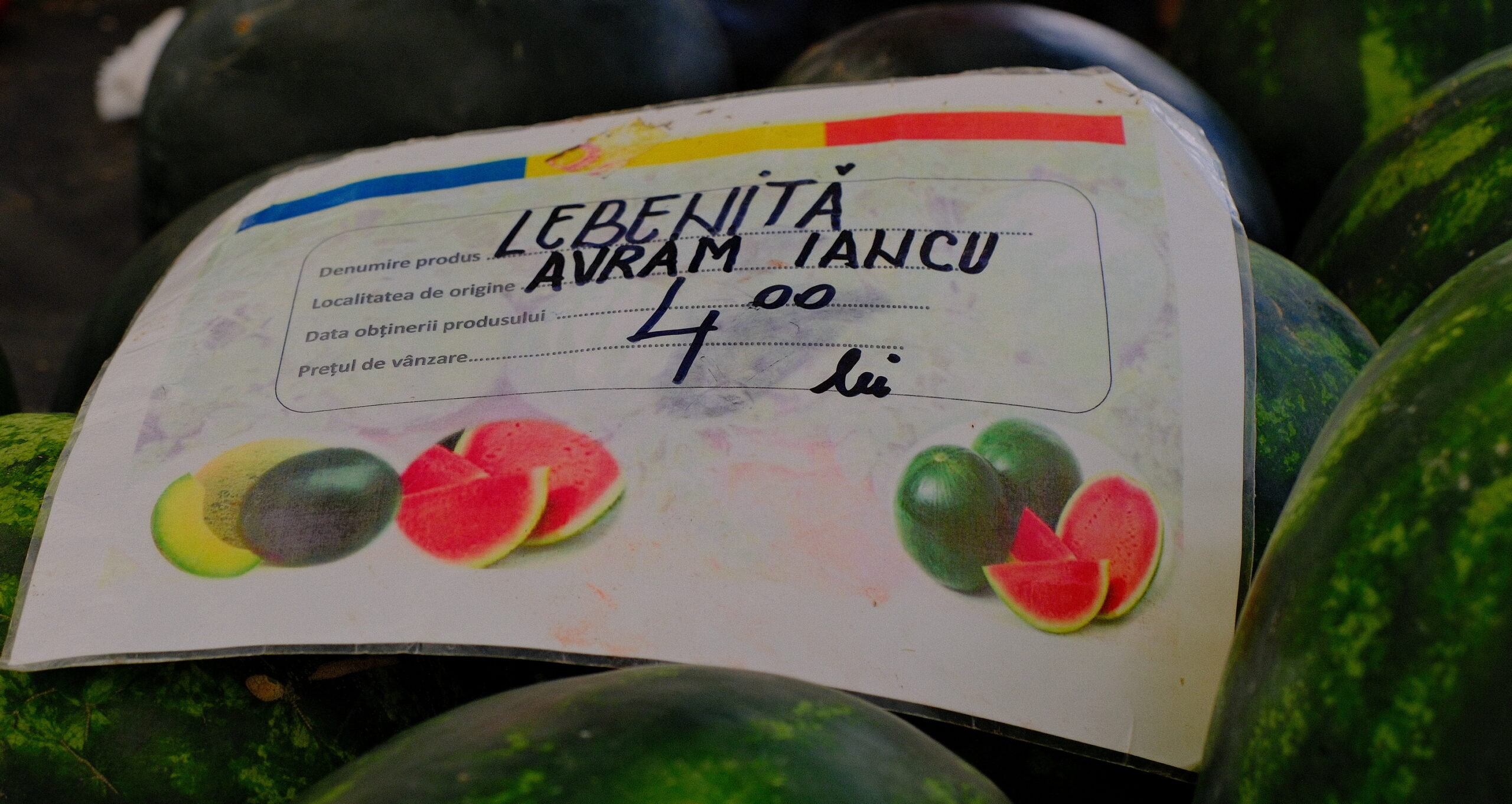 Lebeniță și pepene galben din Avram Iancu, Bihor 10.07.2024; Foto: Alexandru Nițescu