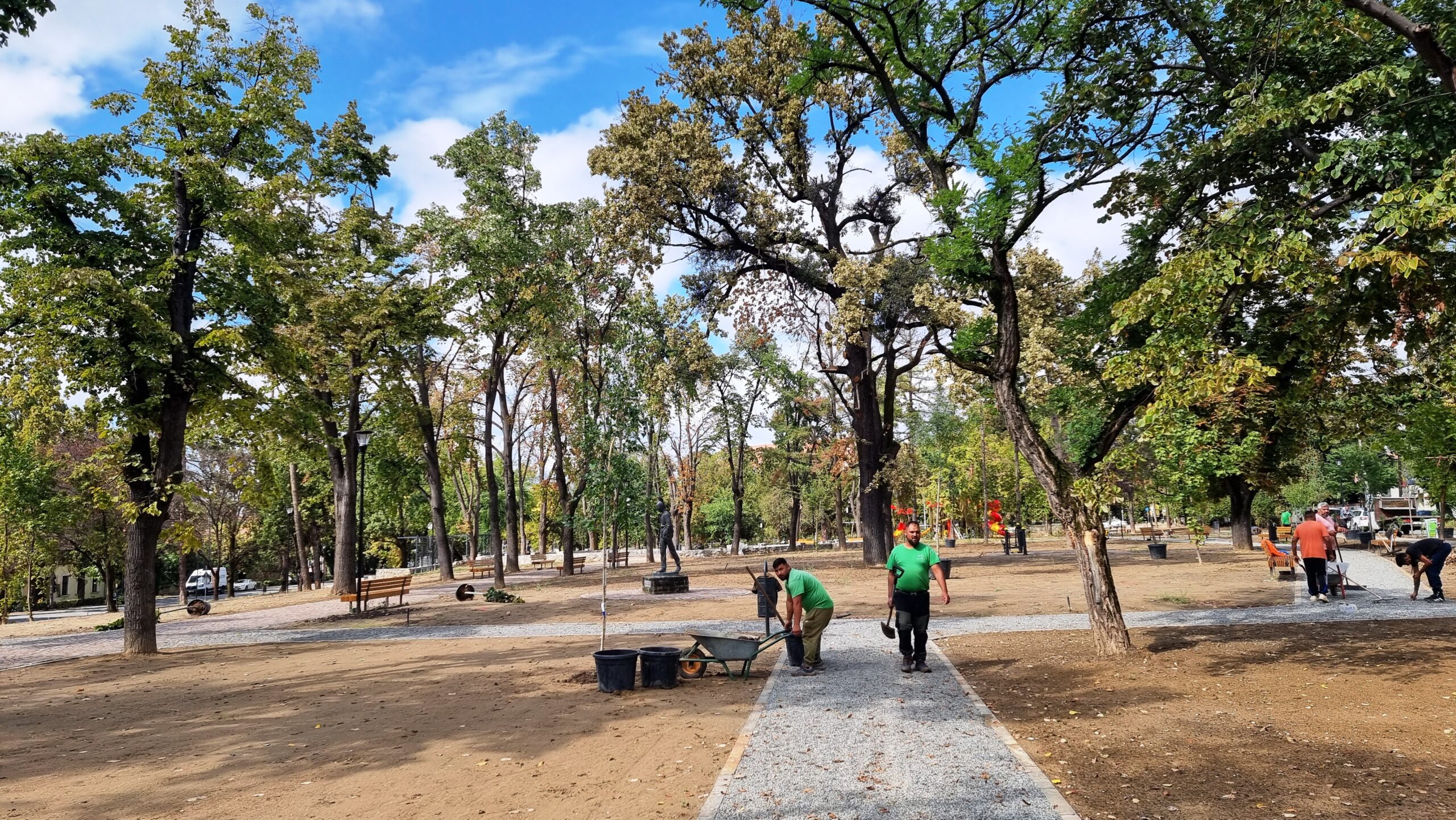 Foto: Amenajarea peisagistică a Parcului Petofi din Oradea 17.09.2024