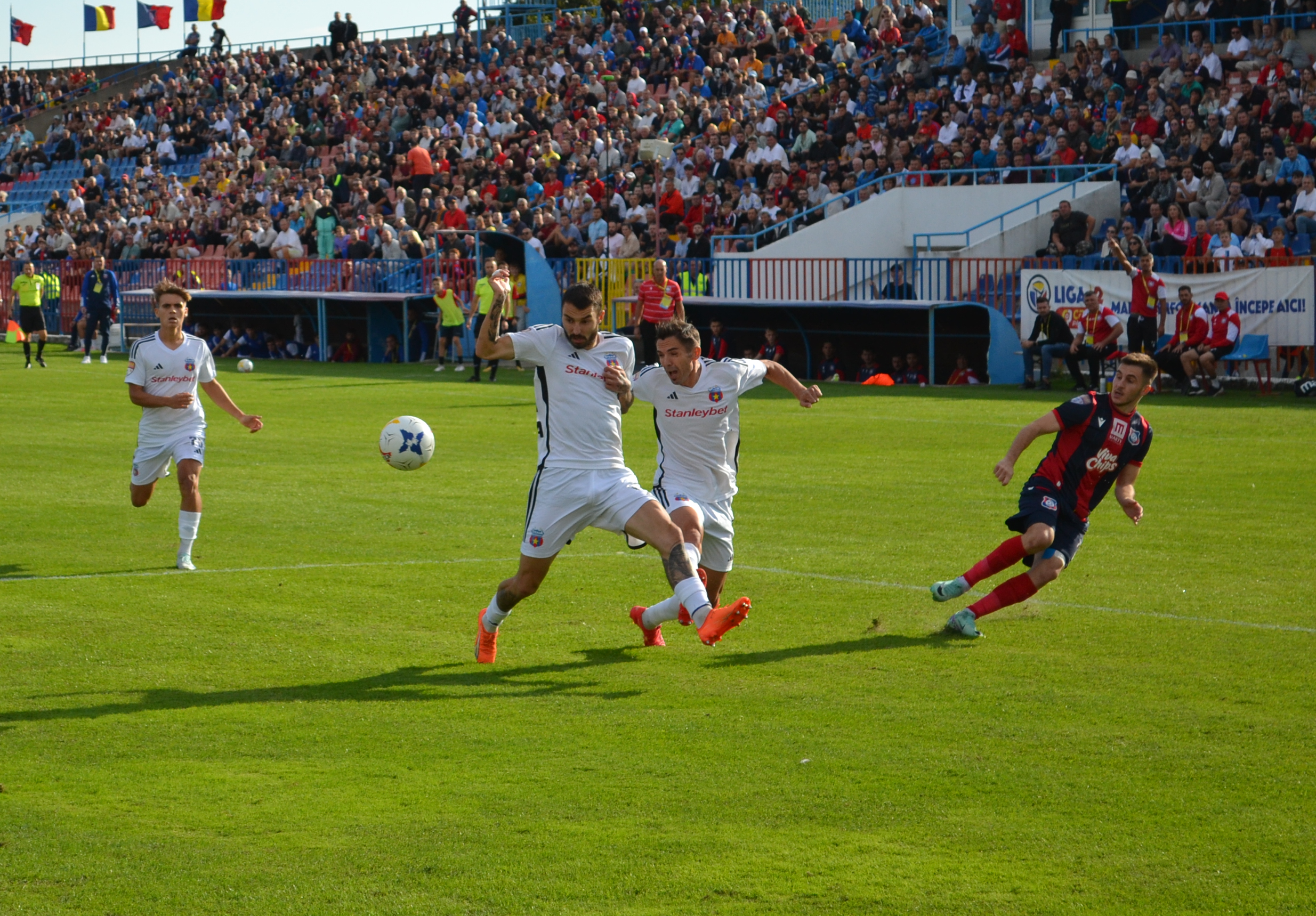 FOTO: FC Bihor - Steaua foto: Teodor Biriș