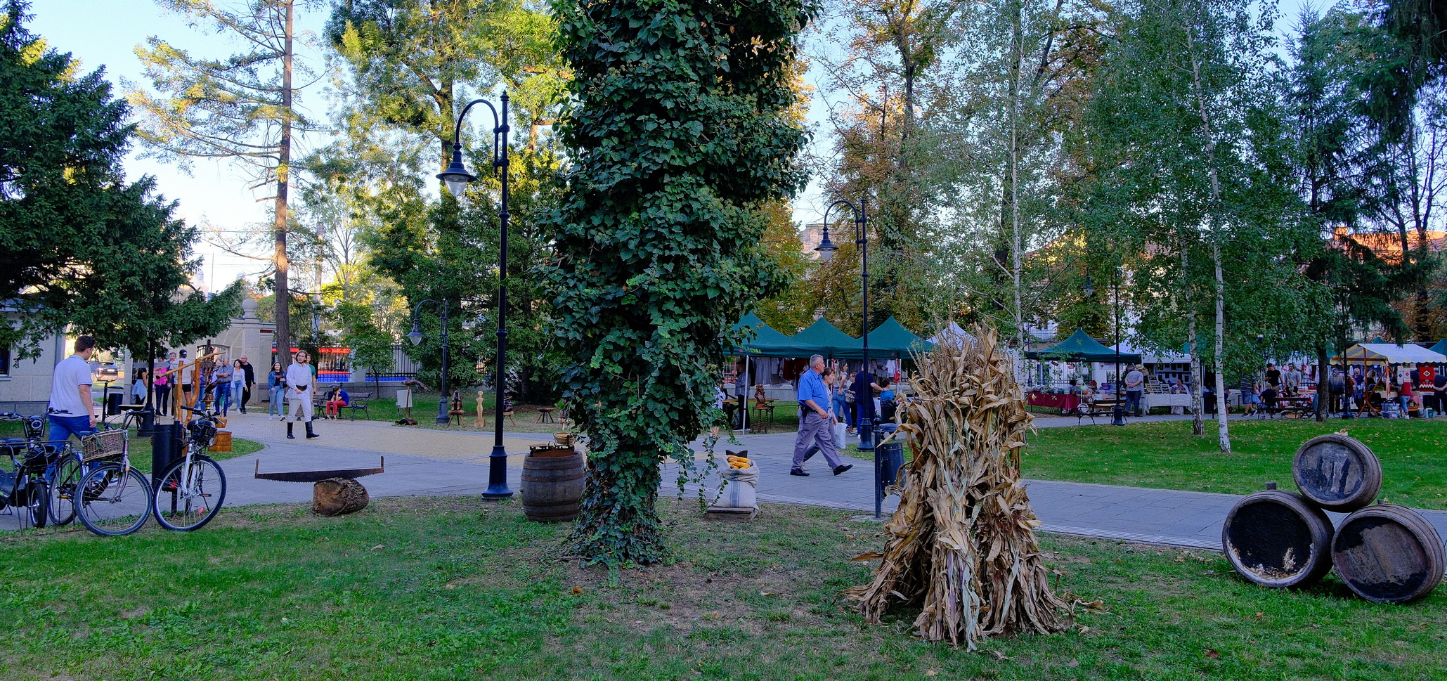 Gusturi si traditii de bihor (38)