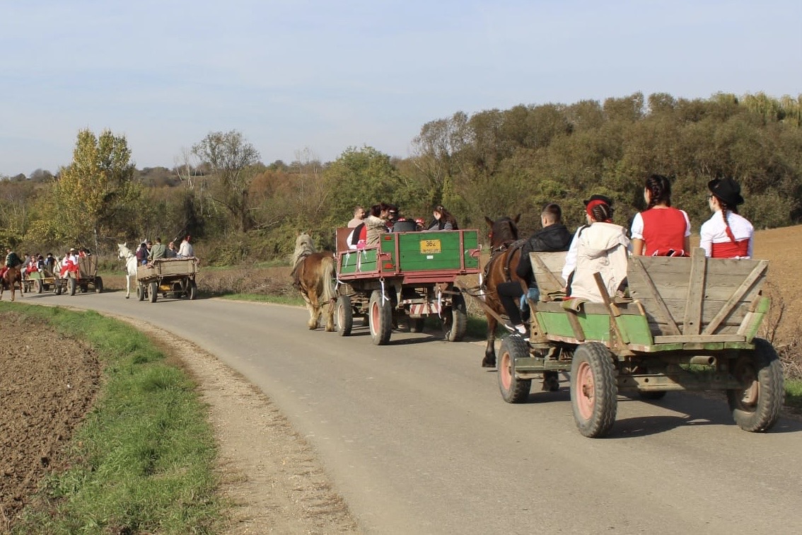 Sărbătoare recoltei Sîntimreu foto CCJB (3)