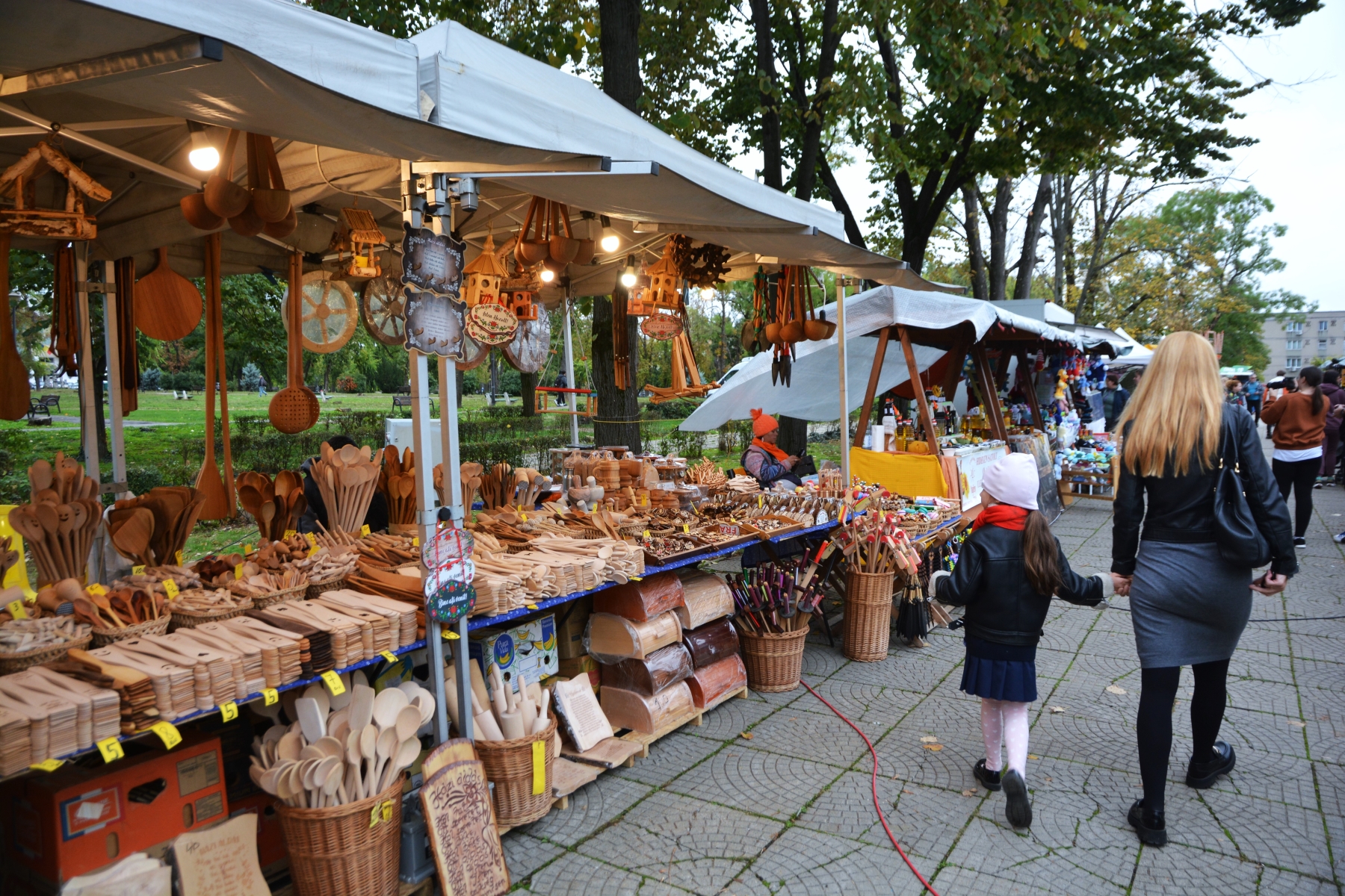 Oradea Festifall 2024 ziua 1 (8)