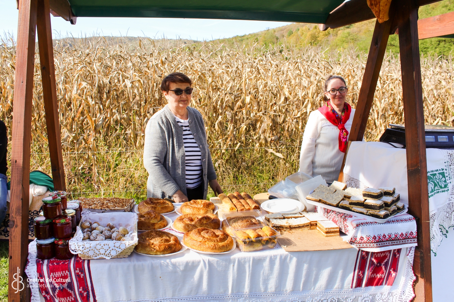 Festivalul plăcintelor Briheni (2)