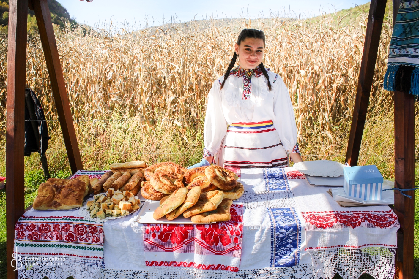 Festivalul plăcintelor Briheni (3)