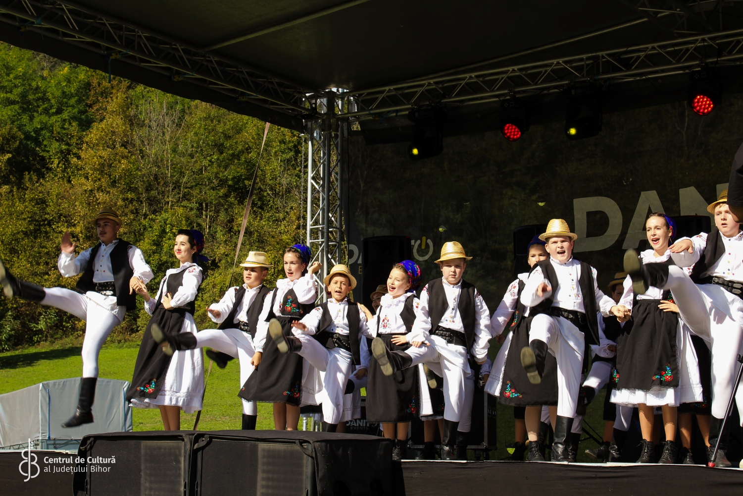 Festivalul plăcintelor Briheni (6)