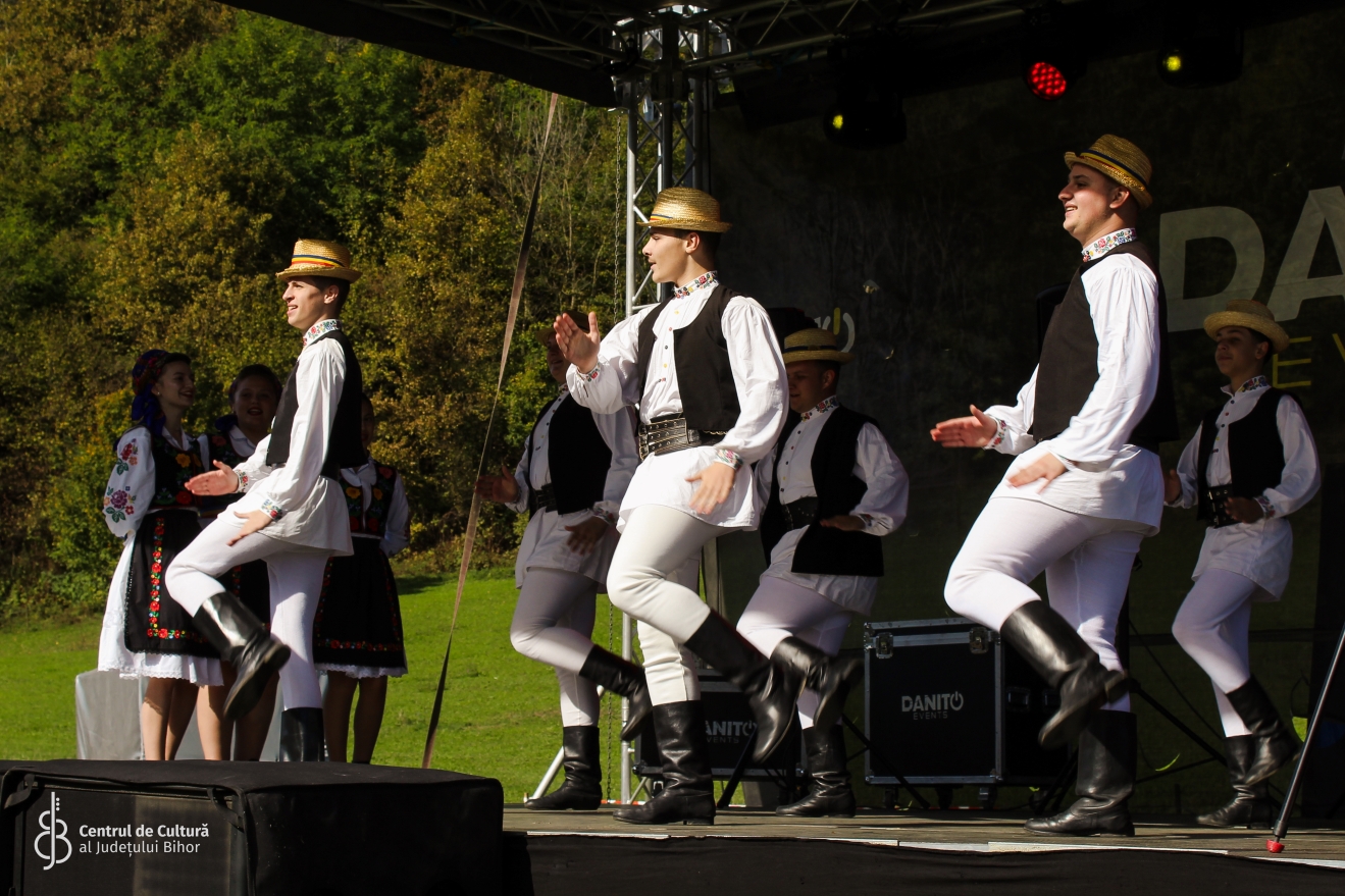 Festivalul plăcintelor Briheni (7)