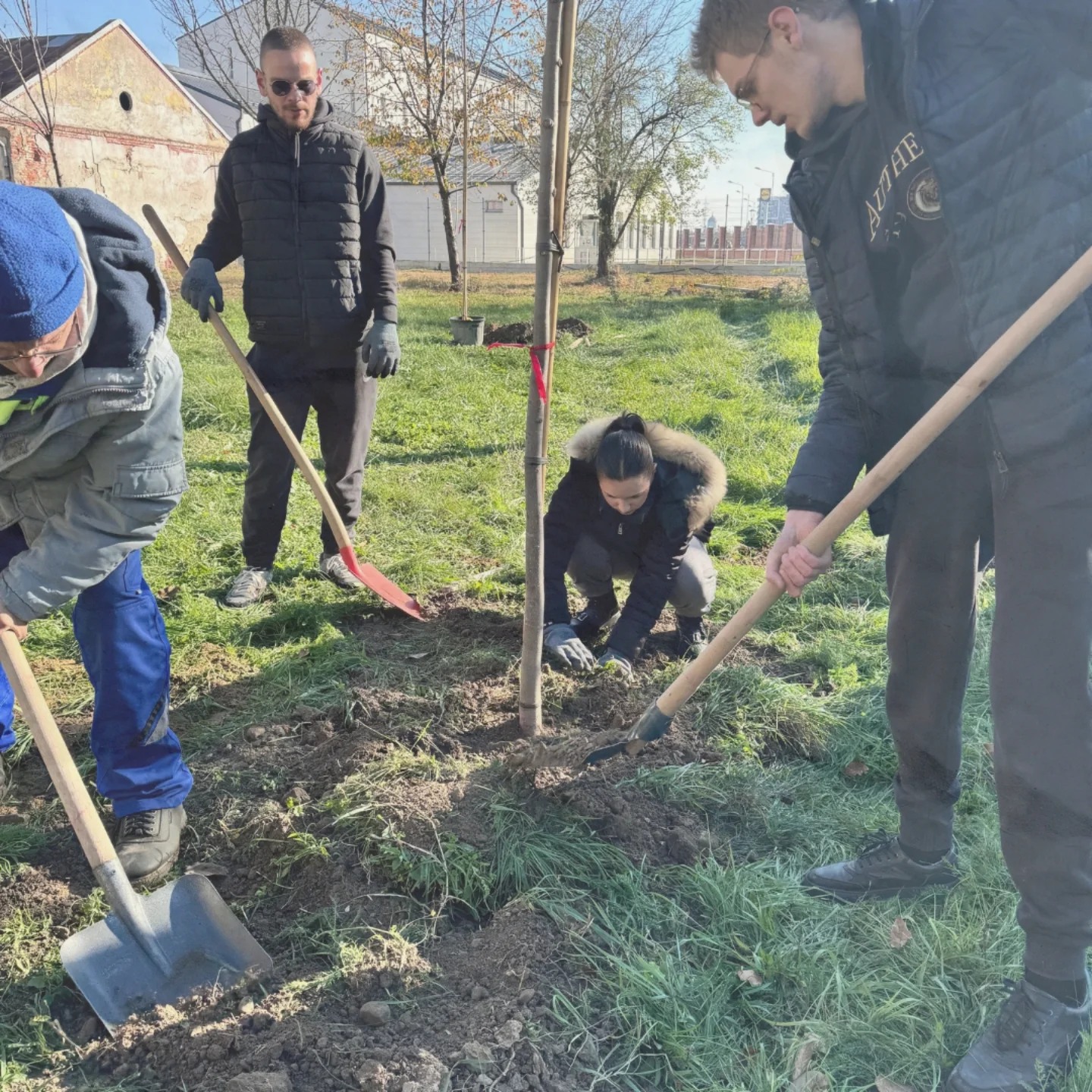 Foto: „Bihorul plantează” 11.11.2024