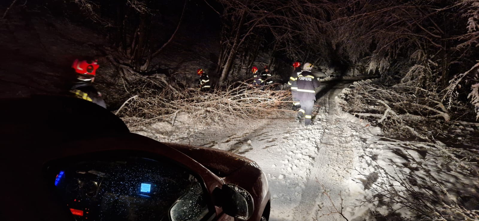 foto: Intervenții pe mai multe drumuri din Bihor din cauza arborilor prăbușiți, 23.11.2024