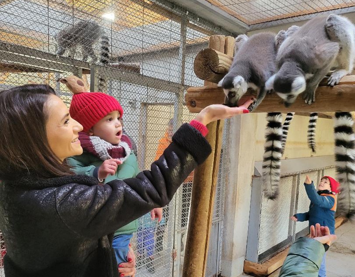 FOTO: Crăciunul Animalelor la Zoo Oradea 23.12.2024