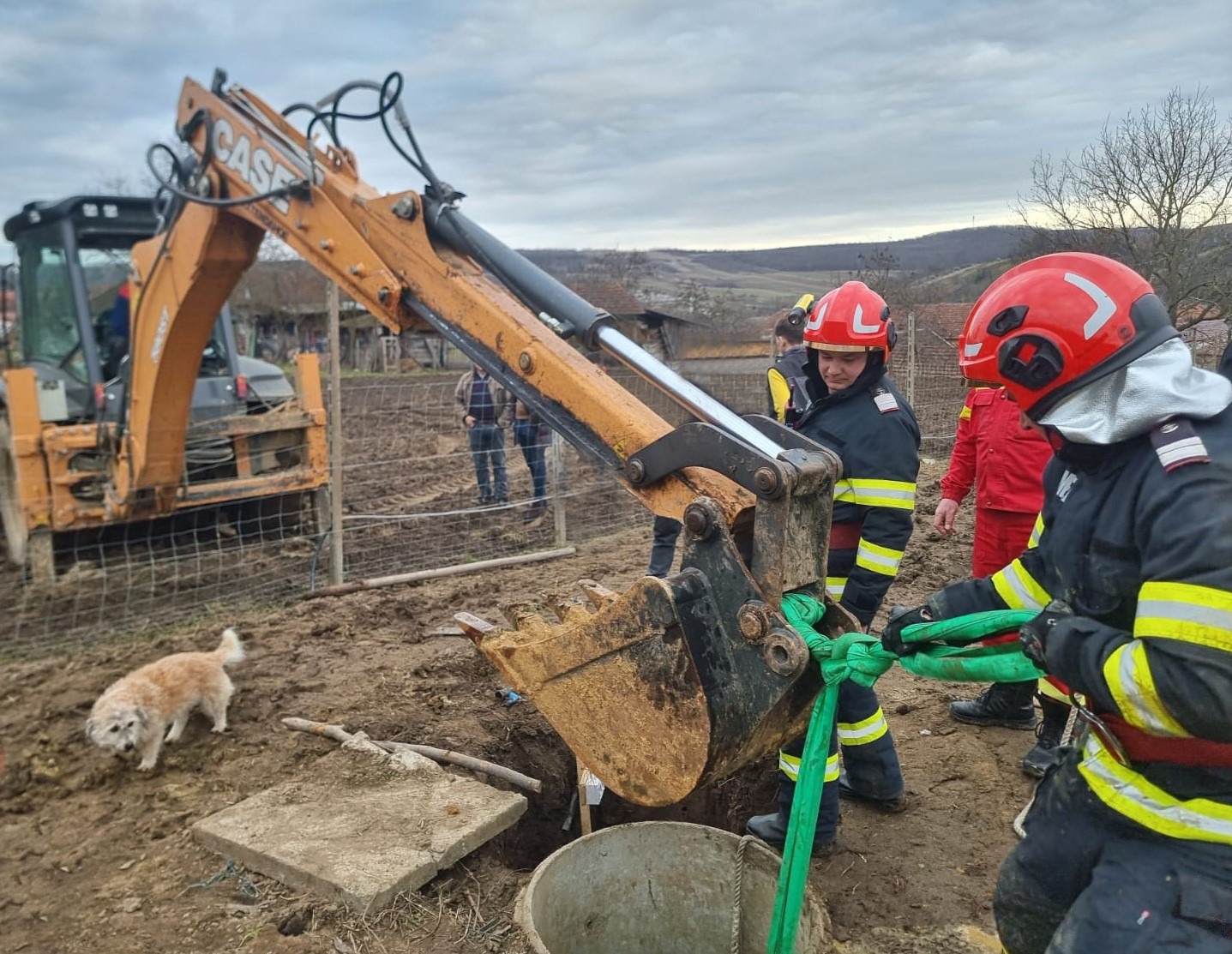 Pompierii bihoreni au scos o poneiță căzută într-o fântână 28.01.2025; Foto: ISU Bihor